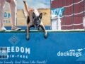 Scones, live music, and plenty of other attractions are staples, but it's the DockDogs that steal the show during the Washington State Fair Spring Fair!  Seattle Event Photography Â©2015 Ari Shapiro - AShapiroStudios.com