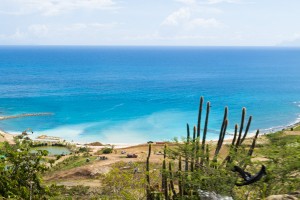The waters of the Caribbean are clear and coral blue - as seen from AJC Brower Rd on Sint Maarten