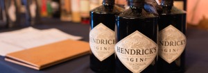 Hendrick's Gin Kanaracuni at The Ruin's. Seattle Event Photography by Ari Shapiro - AShapiroStudios