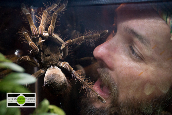 During the Hendrick's Limited Edition Kanaracuni Gin event in Seattle, guests got hands-on with snakes, tarantulas, and other jungle creatures.  ©2014 Ari Shapiro - AShapiroStudios