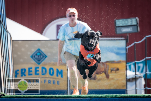 Fans of the Washington State Fair don't need to wait a full year for the festivities each September - Head to Puyallup for scones, live music, attractions, animals, and food during the Spring Fair! Seattle Event Photography ©2015 Ari Shapiro - AShapiroStudios.com